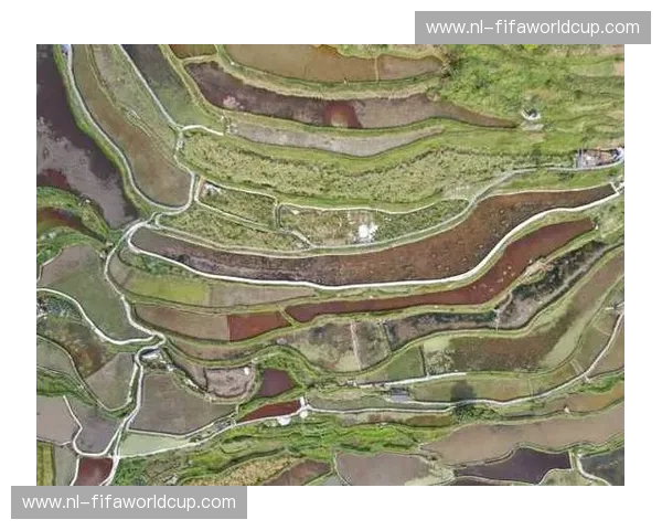 从北国钢骨到黔境秘踪：辽宁与贵州的“冰与火”之歌